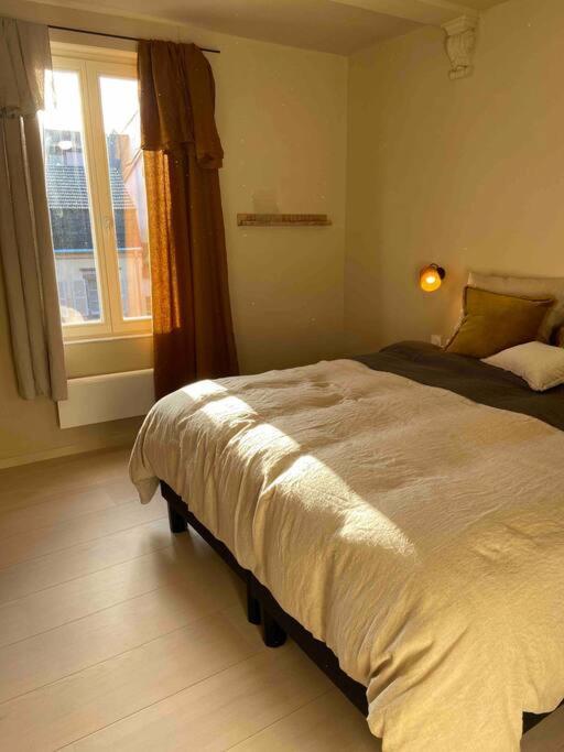 Suites Du Trefle Colmar Exterior photo